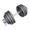 50cm Olympic Dumbbells - Bearings